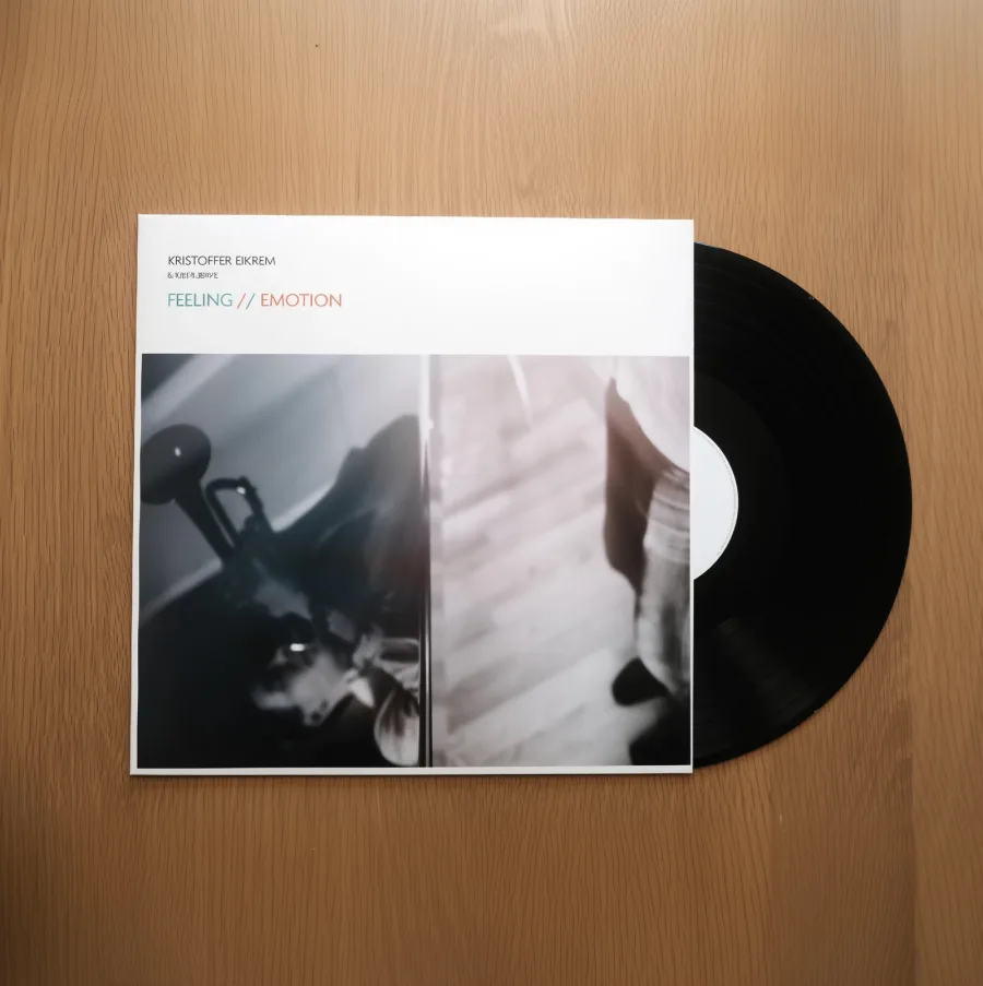 Feeling // Emotion vinyl record